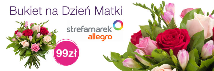 Strefa_marek_allegro_dzien_matki_720x240