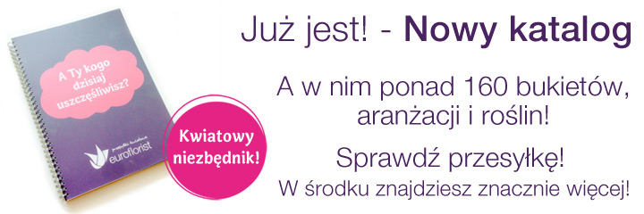 katalog_2014_720x290