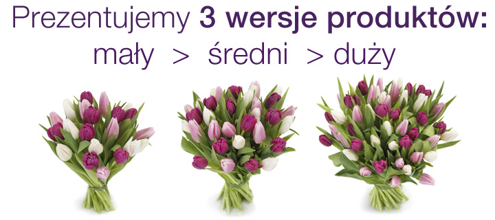 3wersje_720x320